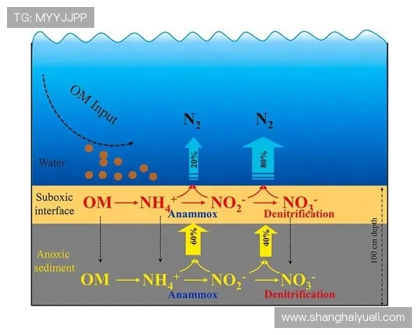 南京羽毛球队运营分析：成功经验与面临挑战的深度探讨