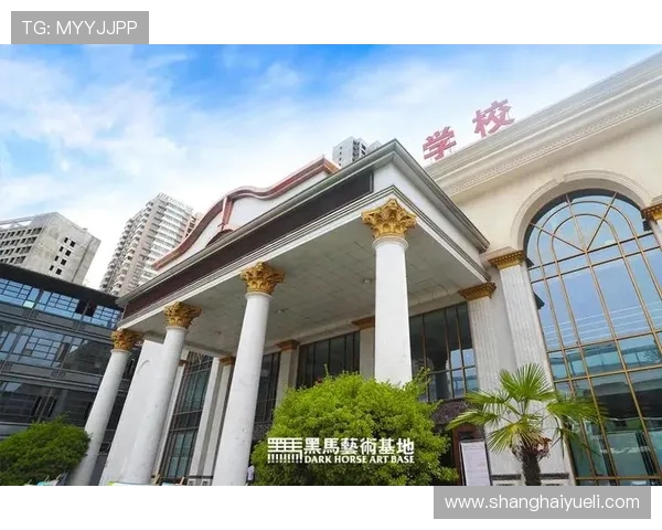 杭州网球队崛起之路联合会杯背后的奋斗与荣耀