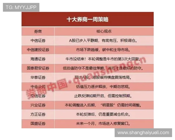 深入分析杭州排球队防守策略与战术特点的专业解读