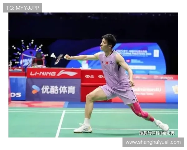 羽毛球耐力排行榜揭晓深圳羽毛球队荣登第六名引关注