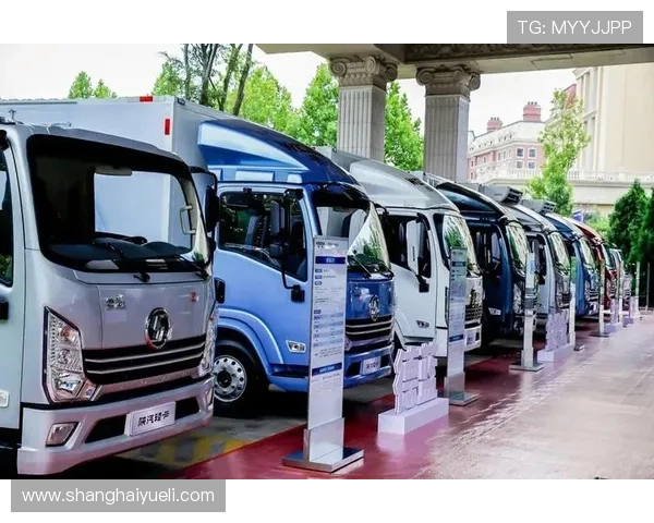 西安篮球队加速转型探索新战术引发热议与关注