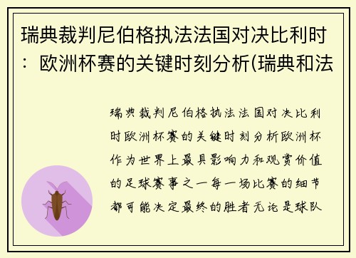瑞典裁判尼伯格执法法国对决比利时：欧洲杯赛的关键时刻分析(瑞典和法国比赛)