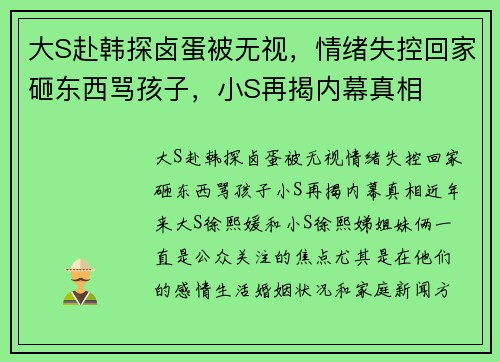 大S赴韩探卤蛋被无视，情绪失控回家砸东西骂孩子，小S再揭内幕真相