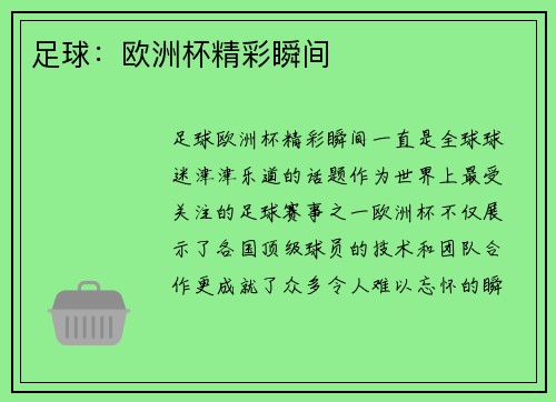 足球：欧洲杯精彩瞬间