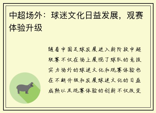 中超场外：球迷文化日益发展，观赛体验升级